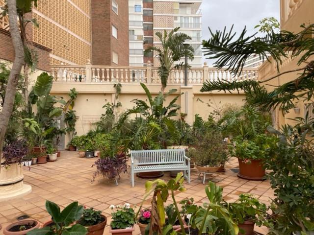 Precioso Apartamento A Estrenar En Primera Linea De Playa 貝尼多姆 外观 照片